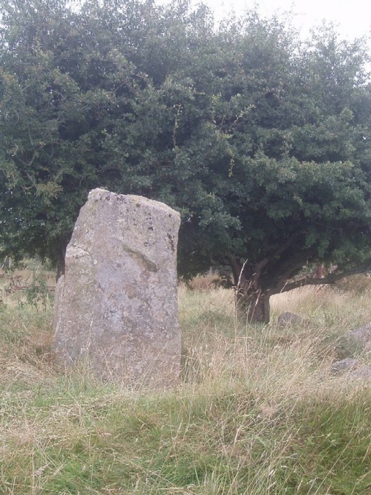 Castleruddery (Stone Circle) by Vicster