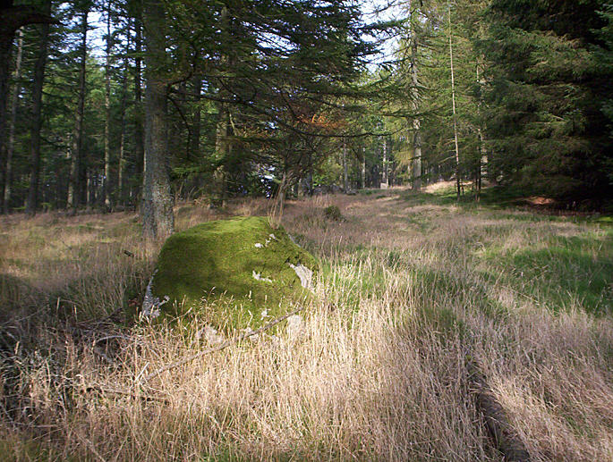 Nine Stanes (Stone Circle) by hamish
