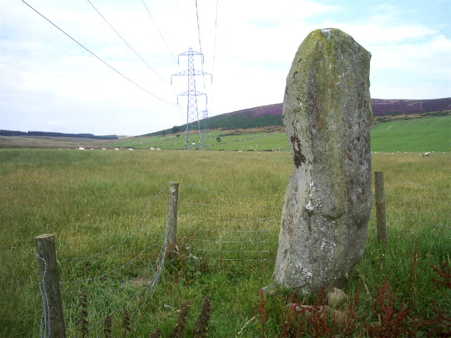 Auquhollie Stone (Standing Stone / Menhir) by taras