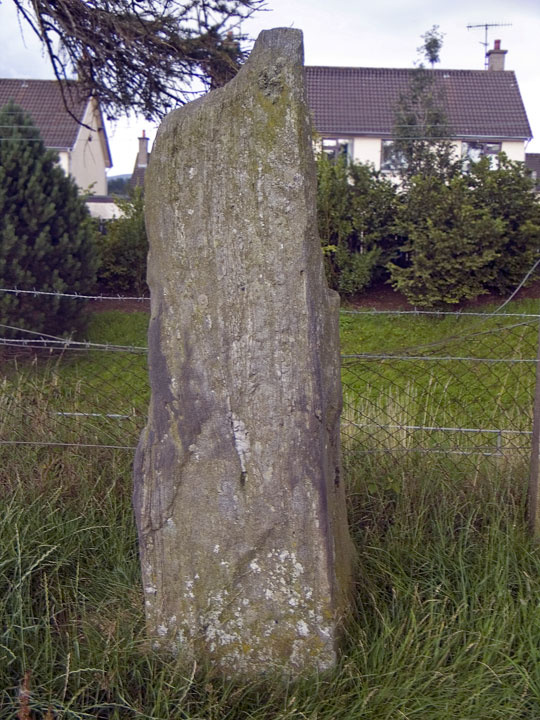 Loughguile (Standing Stone / Menhir) by minipixel