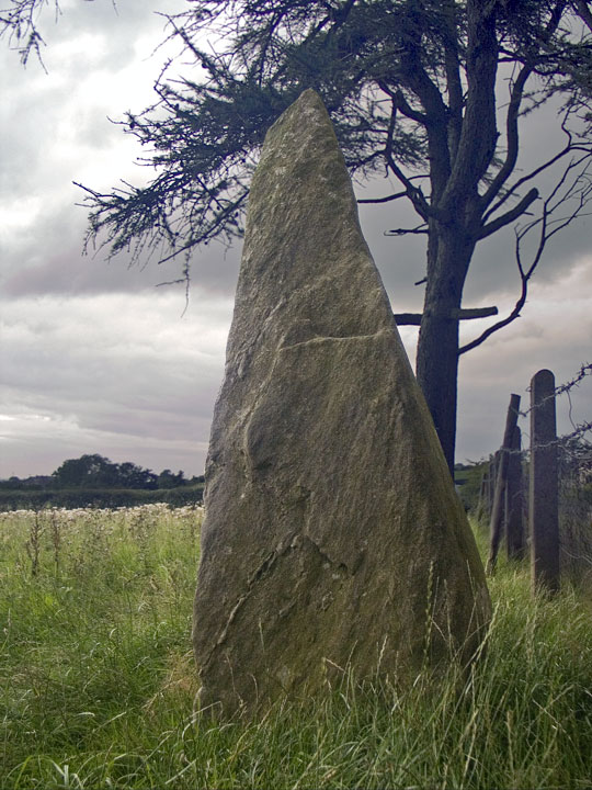 Loughguile (Standing Stone / Menhir) by minipixel