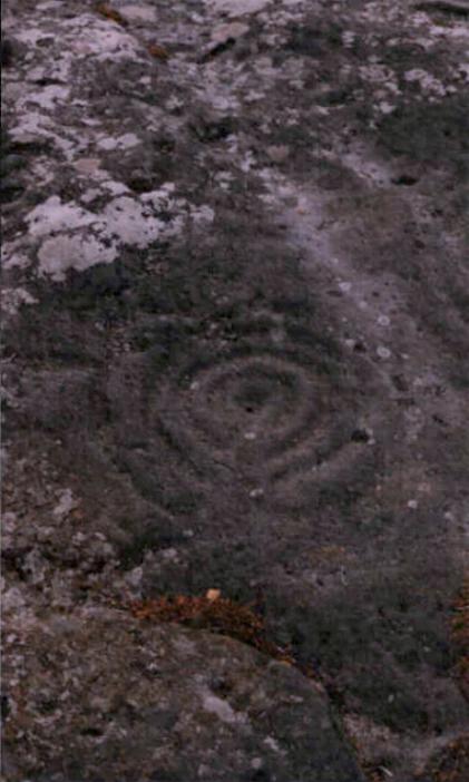 Dod Law Hillfort rock art (Cup and Ring Marks / Rock Art) by fitzcoraldo