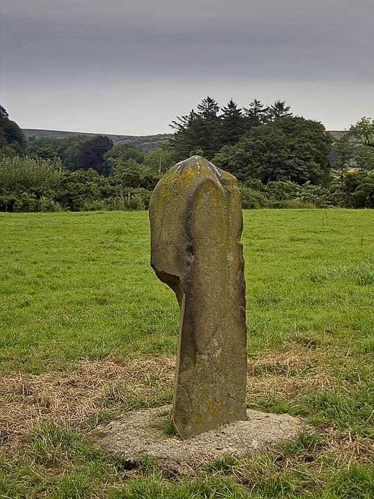Corvally (Standing Stone / Menhir) by minipixel