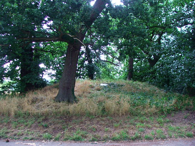 Robin Hood's Tump (Round Barrow(s)) by postman