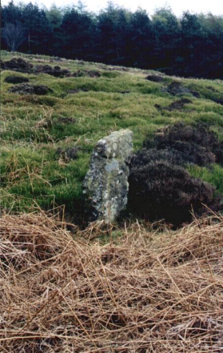 Bilsdale Midcable Stone (Standing Stone / Menhir) by fitzcoraldo