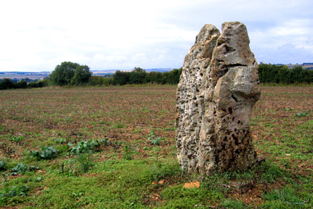 Hawk Stone (Standing Stone / Menhir) by Zeb