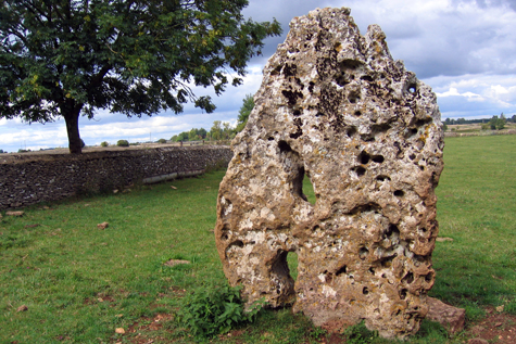 The Longstone of Minchinhampton (Standing Stone / Menhir) by Zeb