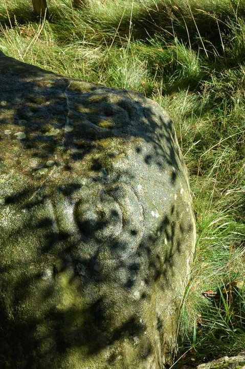 The Witch's Stone (Cup and Ring Marks / Rock Art) by ryaner