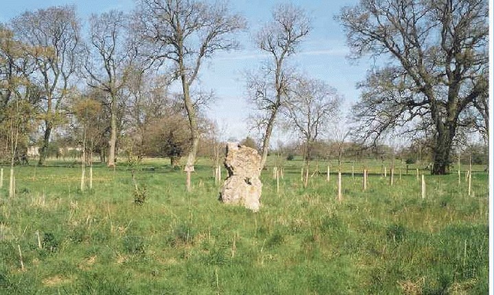 Bathampton and Claverton Downs (Standing Stones) by Rhiannon