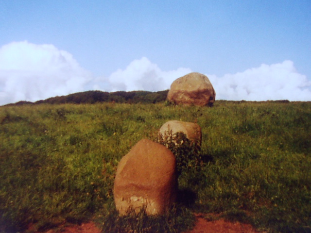 The Wren's Egg & Nest (Standing Stones) by postman