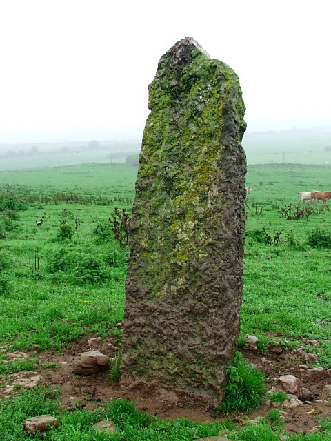 Llangristiolus (Standing Stone / Menhir) by postman