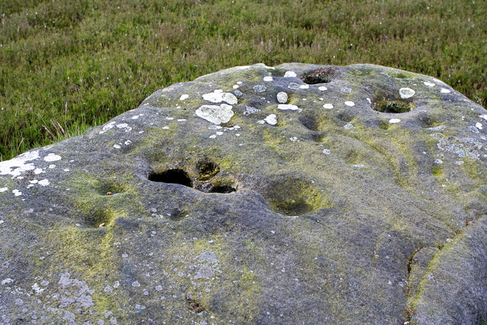 Coin Rock (Cup Marked Stone) by LivingRocks