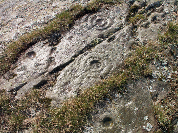 Glasserton Mains (Cup and Ring Marks / Rock Art) by rockartwolf