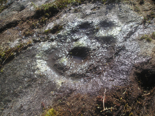 Balnabodach (Cup and Ring Marks / Rock Art) by tiompan