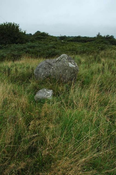 Ballymakellet Standing Stone (Standing Stone / Menhir) by ryaner