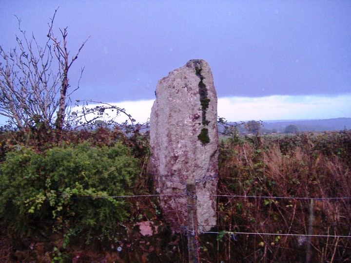 Knockeenagroagh (Standing Stone / Menhir) by bawn79