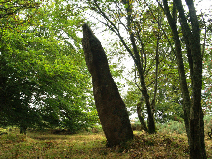 Midmar Kirk (Stone Circle) by rockartwolf