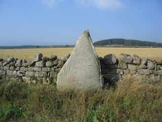 Springhill (Standing Stones) by Chris