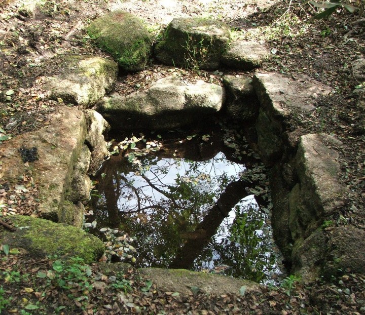 Madron Holy Well (Sacred Well) by Stonefly