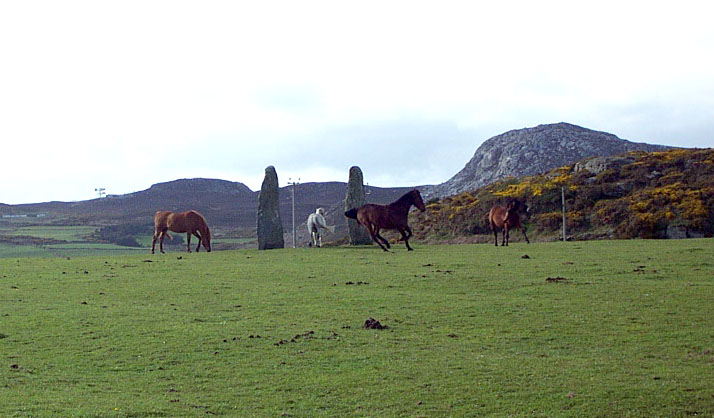Penrhosfeilw (Standing Stones) by IronMan