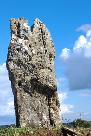 Hawk Stone (Standing Stone / Menhir) by jacksprat