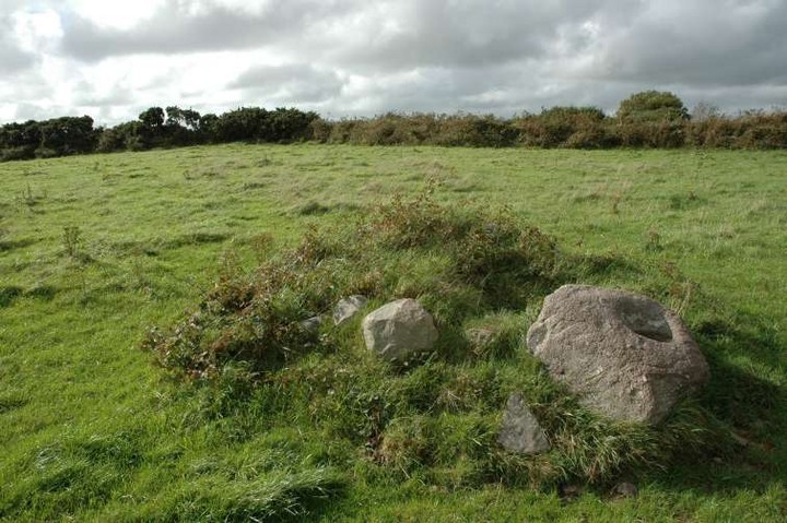 Davidstown (Bullaun Stone) by ryaner