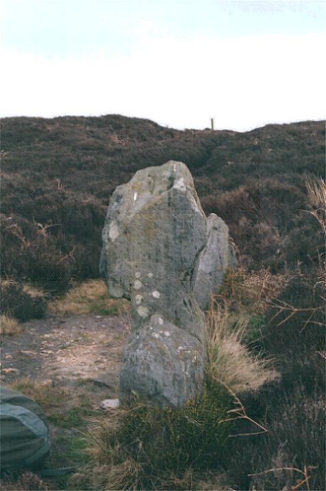 The Old Wife's Neck (Standing Stones) by fitzcoraldo