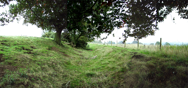 Borough Hill (Hillfort) by heptangle