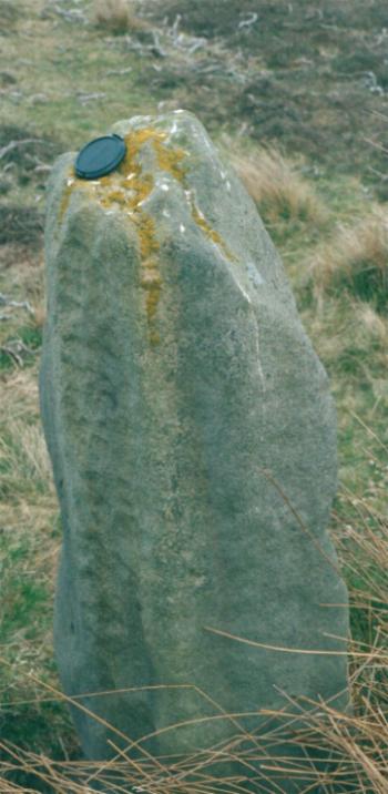 Kildale Un-named stone (Standing Stone / Menhir) by fitzcoraldo