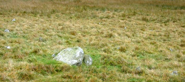 Hafod y Dre (Stone Row / Alignment) by baza