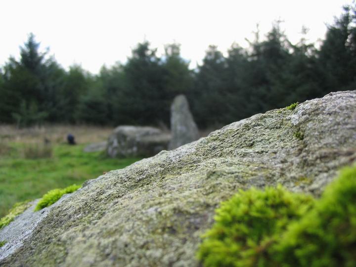 Loudon Wood (Stone Circle) by Chris