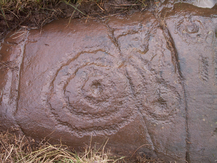 Newlaw Hill 3 (Cup and Ring Marks / Rock Art) by pebblesfromheaven