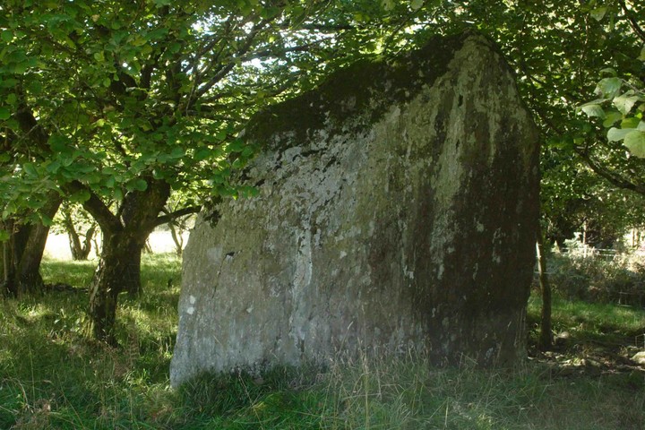 Ty Newydd (Standing Stone / Menhir) by tuesday