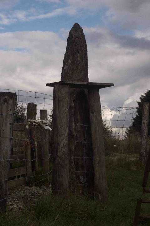 Cefn Gwenffrwd (Standing Stone / Menhir) by tuesday