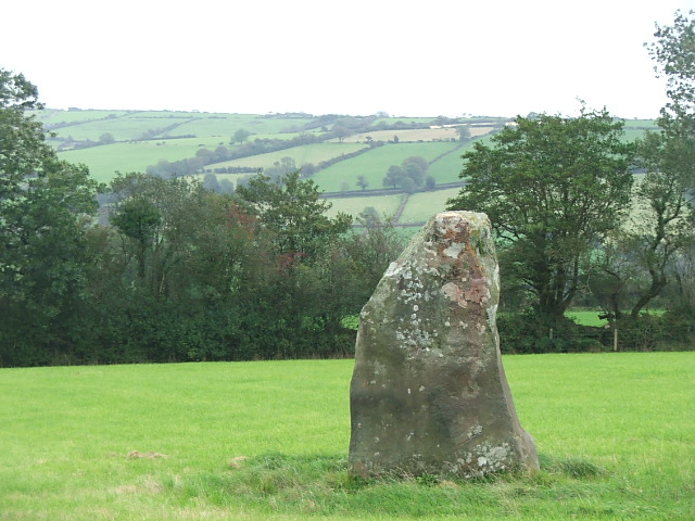 Llanfyrnach Stone B (Standing Stone / Menhir) by postman
