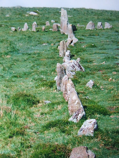 Down Tor (Stone Row / Alignment) by postman