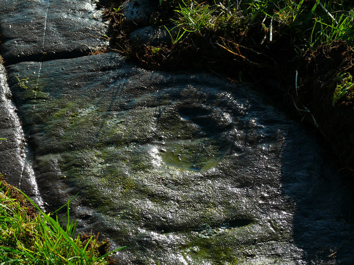 High Grange 1 (Cup and Ring Marks / Rock Art) by rockartwolf