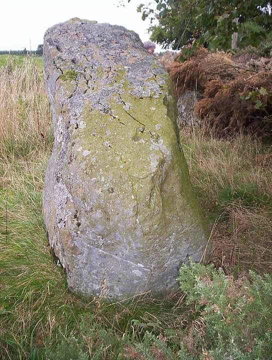 Tealing Stones (Standing Stones) by hamish