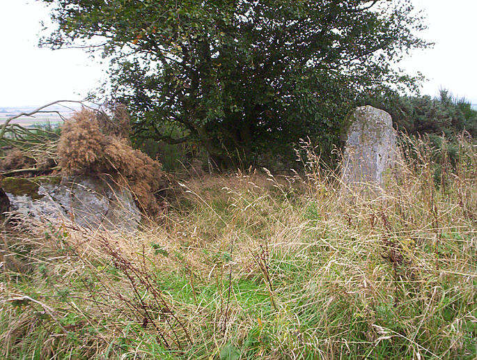 Tealing Stones (Standing Stones) by hamish