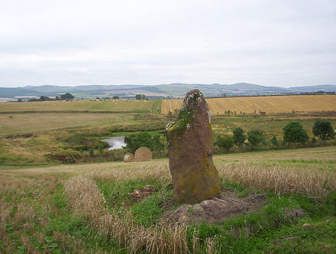 Lendrick Lodge Stone (Standing Stone / Menhir) by hamish
