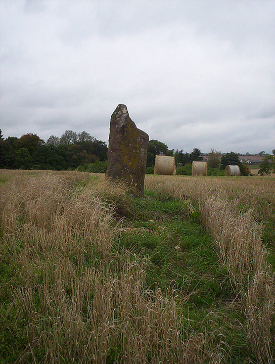 Lendrick Lodge Stone (Standing Stone / Menhir) by hamish