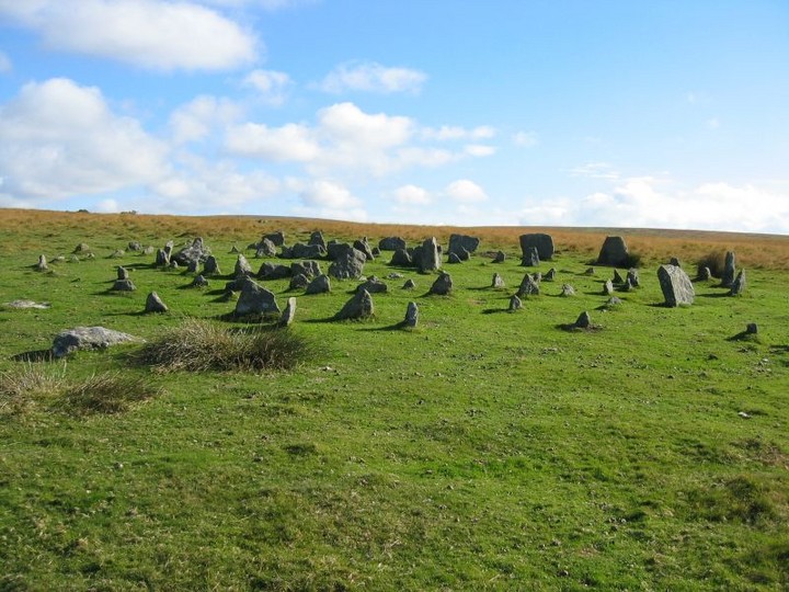 Yellowmead Multiple Stone Circle (Stone Circle) by Meic