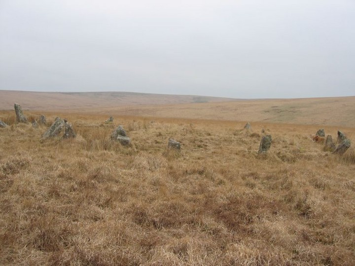 Stall Moor Stone Circle (Stone Circle) by Meic