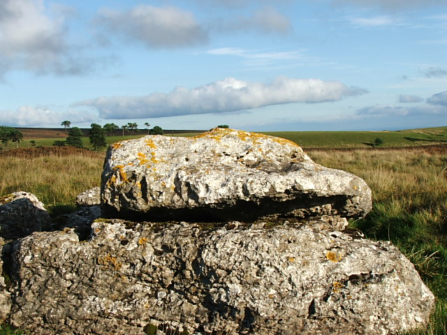 Eglwyseg (Standing Stone / Menhir) by postman