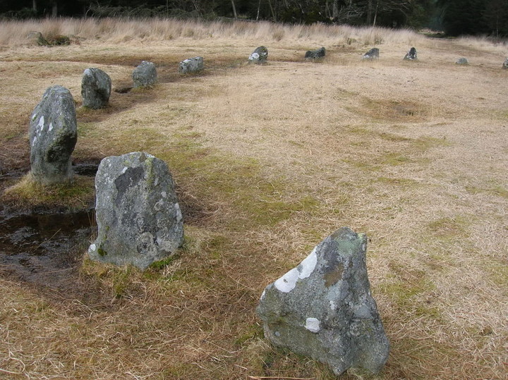 Fernworthy (Stone Circle) by ruskus