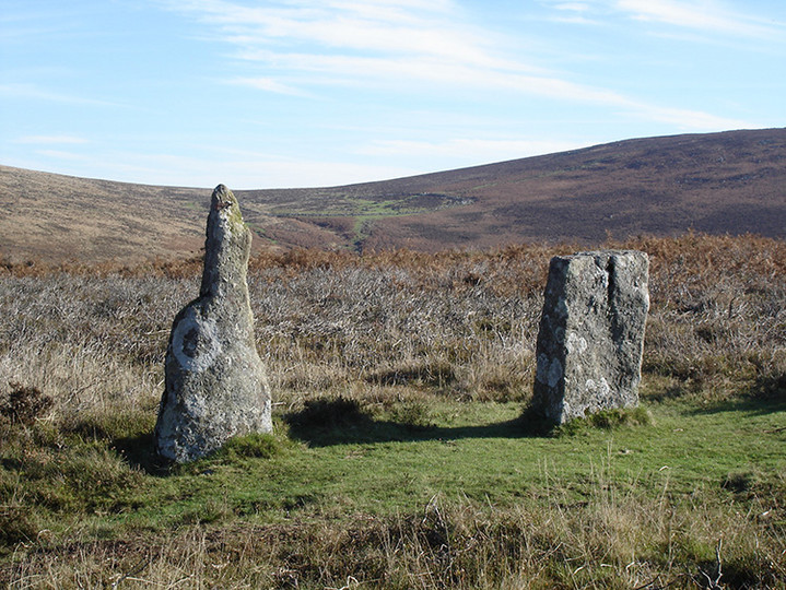 Challacombe (Multiple Stone Rows / Avenue) by Lubin