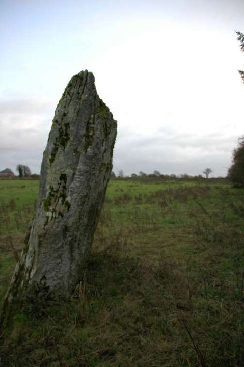 Kilcorkey (Standing Stone / Menhir) by ryaner