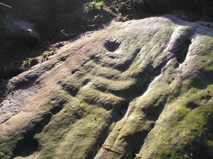 Glascorrie (Cup and Ring Marks / Rock Art) by tiompan