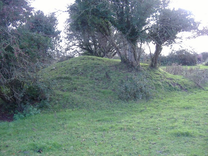 Ballinree (Artificial Mound) by bawn79