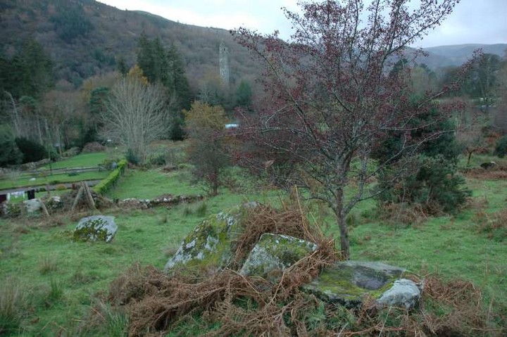 Brockagh (Bullaun Stone) by ryaner